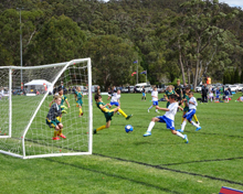 2016 Sydney International Cup